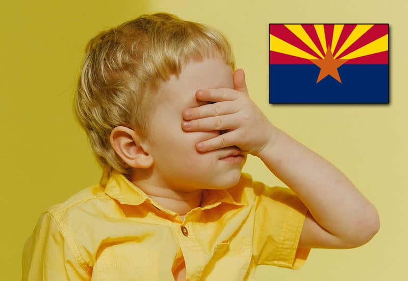 Arizona Child Protective Services was an Embarrassment